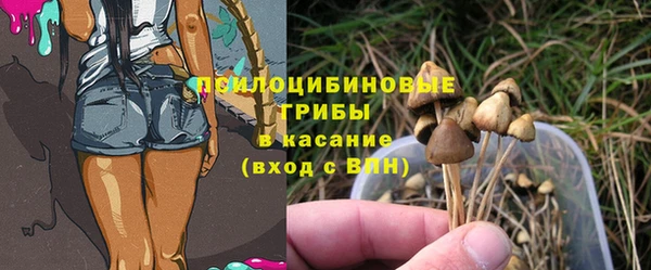 мескалин Осинники