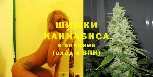 гашик Остров