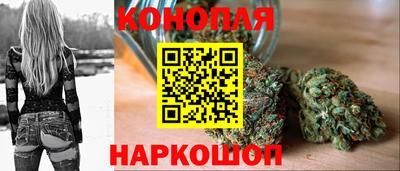 бошки Донецк