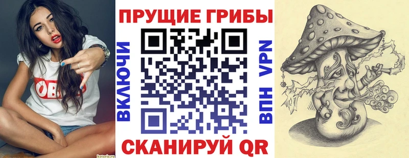 купить наркотики цена  Соль-Илецк  Псилоцибиновые грибы Cubensis 