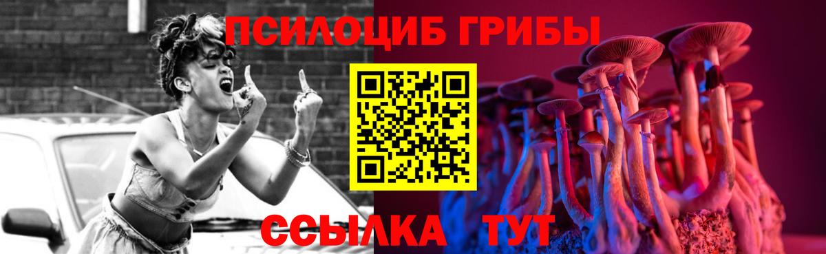 Соль-Илецк  Псилоцибиновые грибы Psilocybine cubensis  Вход с VPN  Псилоцибиновые грибы прущие грибы 
